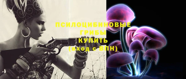 твердый Вяземский