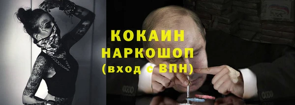 сатива Вязники